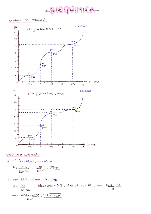 Miniatura del documento BIOQUIMICA-Problemes.pdf