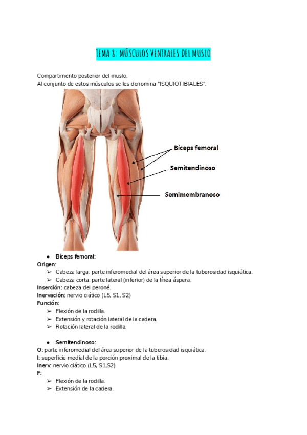 Miniatura del documento TEMA-8.pdf