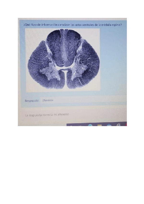 Miniatura del documento Preguntas-examen-practicas.pdf