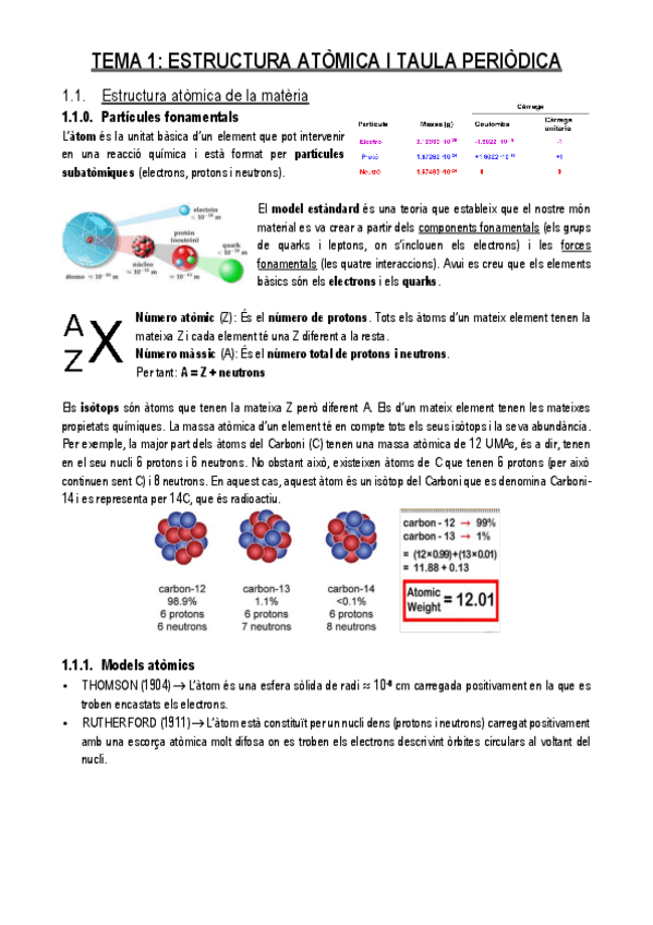 Miniatura del documento TEMA-1.pdf