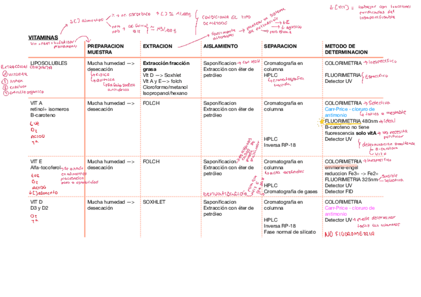 Miniatura del documento RESUMEN-VITAMINAS-.pdf