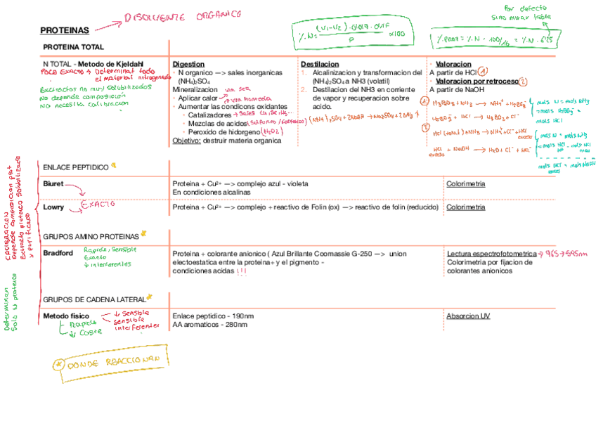 Miniatura del documento RESUMEN-PROTEINAS.pdf