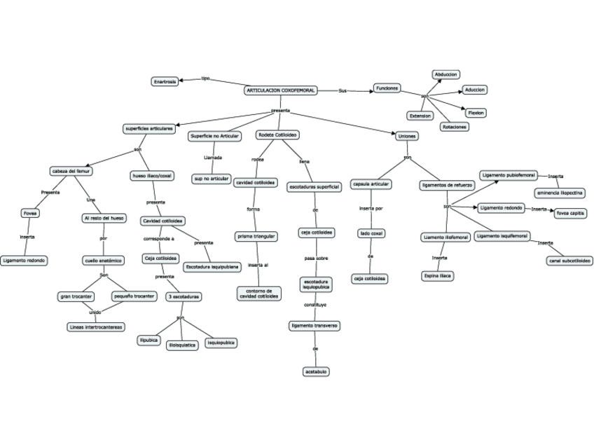 Miniatura del documento MAPAS-ARTROLOGIA.pdf