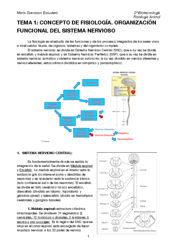 Miniatura del documento Temas-1-2-3.pdf