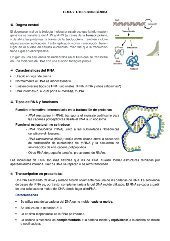 Miniatura del documento tema-2-genetica.pdf
