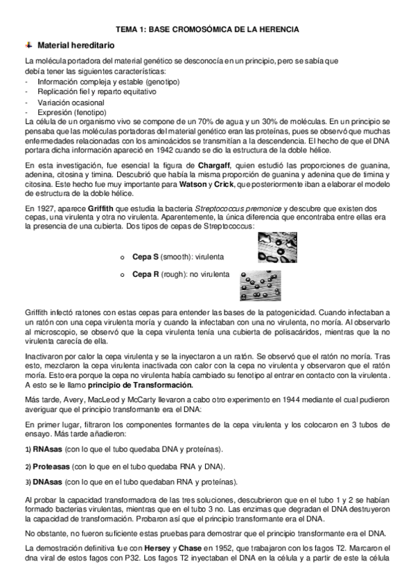 Miniatura del documento tema-1-genetica.pdf