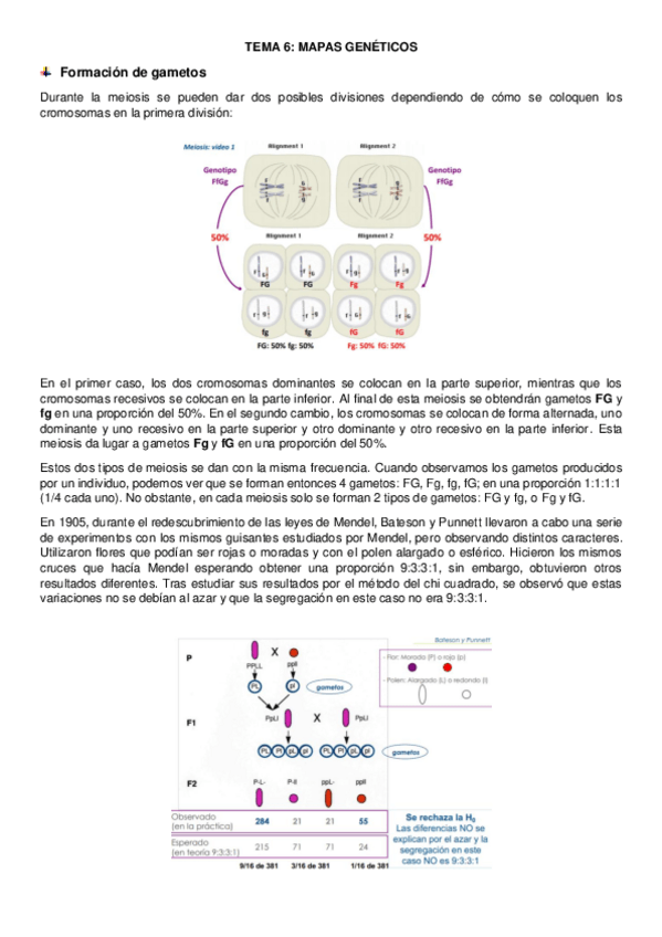 Miniatura del documento tema-6-genetica.pdf