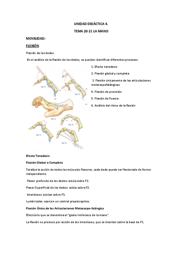 Miniatura del documento 2o-Parcial-Biomecanica-APUNTES.pdf