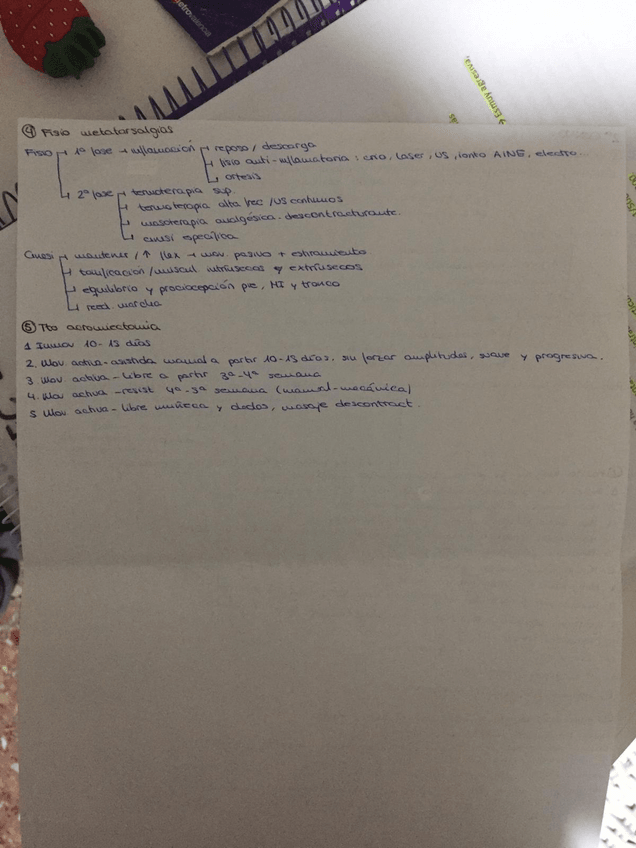 Miniatura del documento WhatsApp-Image-2019-09-18-at-19.jpg