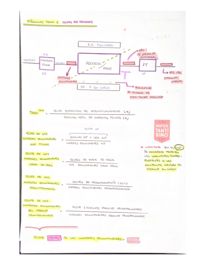 Miniatura del documento RESUME-TEMAS-5-6-y-7.pdf