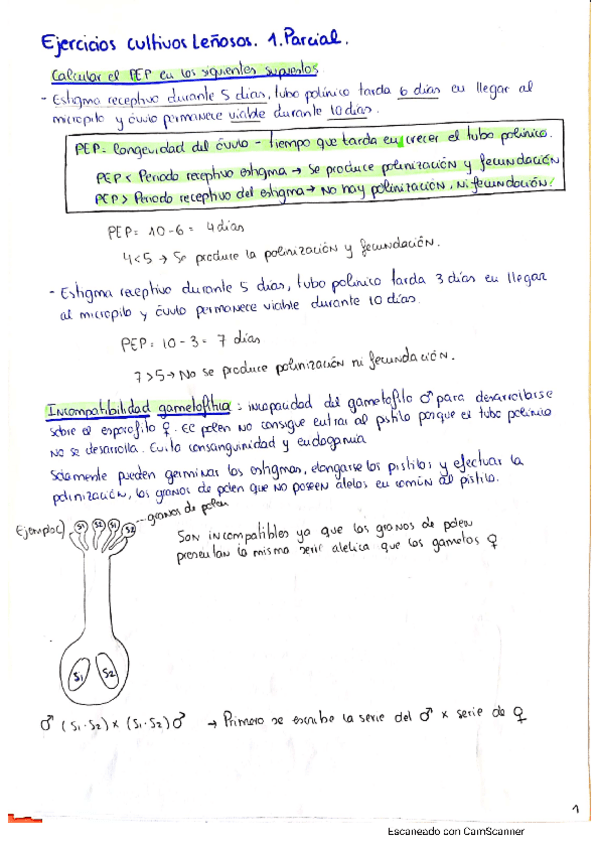 Miniatura del documento Primer-parcial-cultivos-lenosos-temas-1-8.pdf