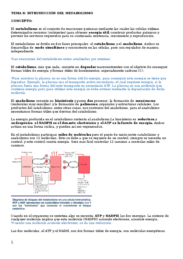 Miniatura del documento Tema-8.docx