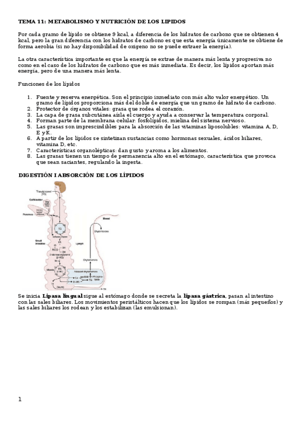 Miniatura del documento Tema-11ok.docx