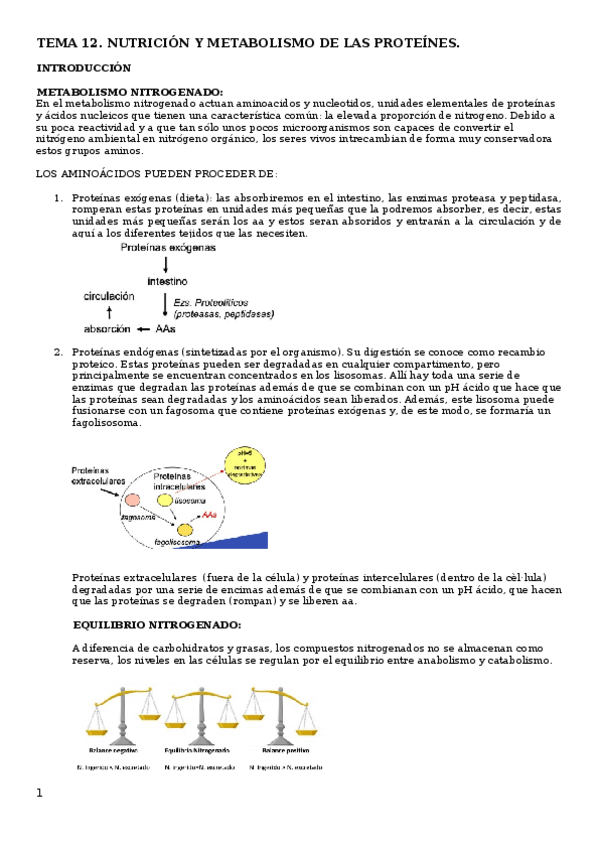 Miniatura del documento Tema-12.docx