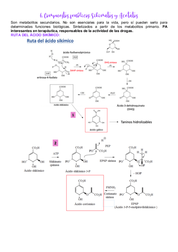 Miniatura del documento 6.pdf