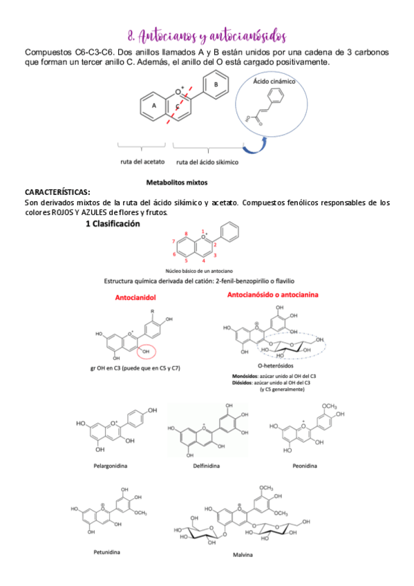 Miniatura del documento 8.pdf