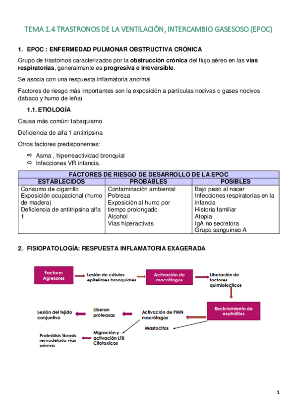Miniatura del documento TEMA-1.pdf