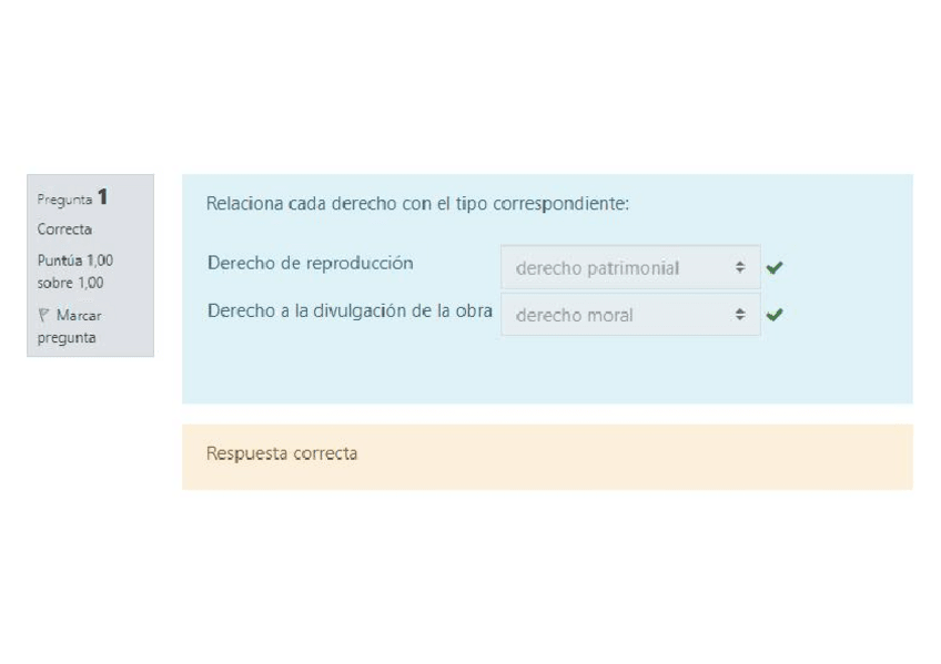 Miniatura del documento CUESTIONARIO-FINAL-CID.pdf