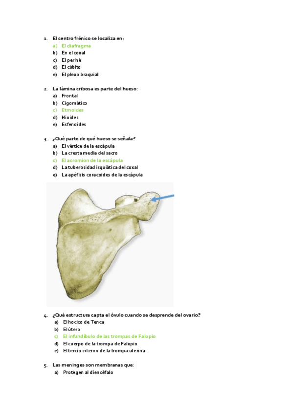 Miniatura del documento PREGUNTAS-EXAMEN-ANATOMIA-FEBRERO-2021.pdf