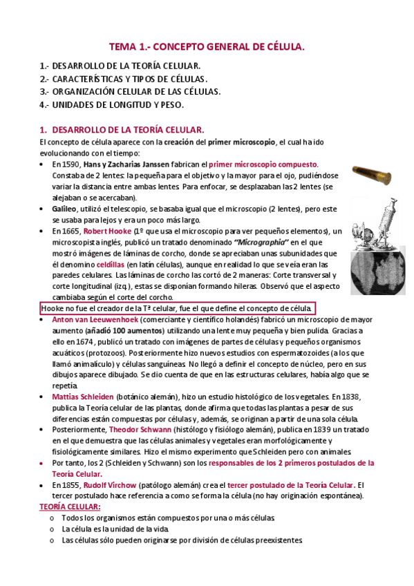 Miniatura del documento TEMA-1-BC.pdf
