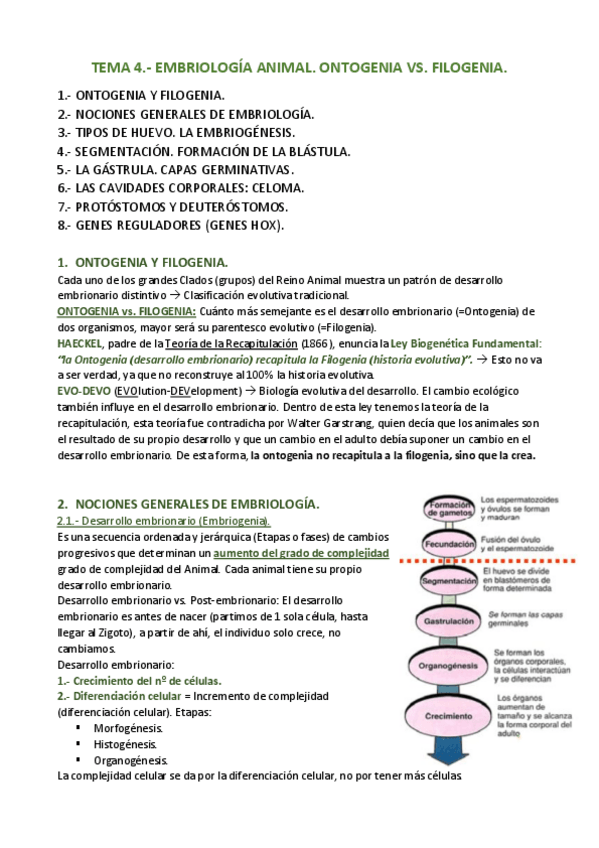 Miniatura del documento APUNTES-T.pdf
