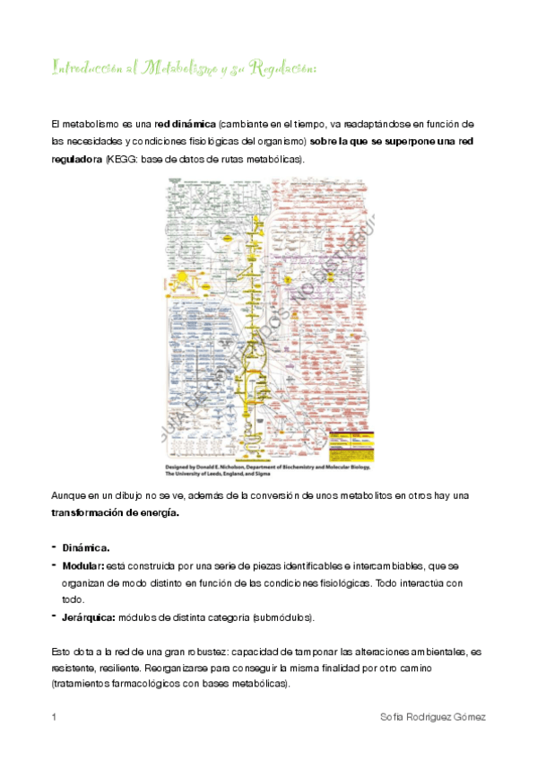 Miniatura del documento 1. Introducción al Metabolismo