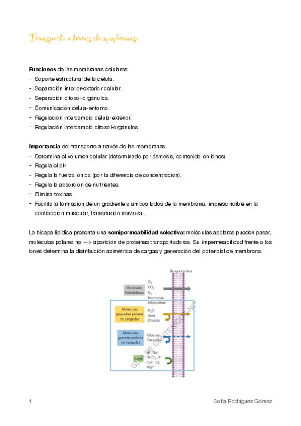 Miniatura del documento 2.Transporte a través de membrana