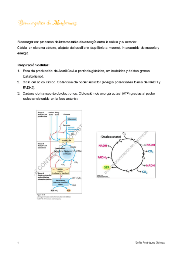 Miniatura del documento 4.Bioenergética de membranas
