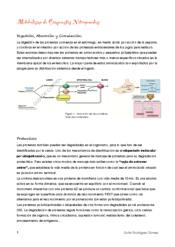 Miniatura del documento 10.pdf