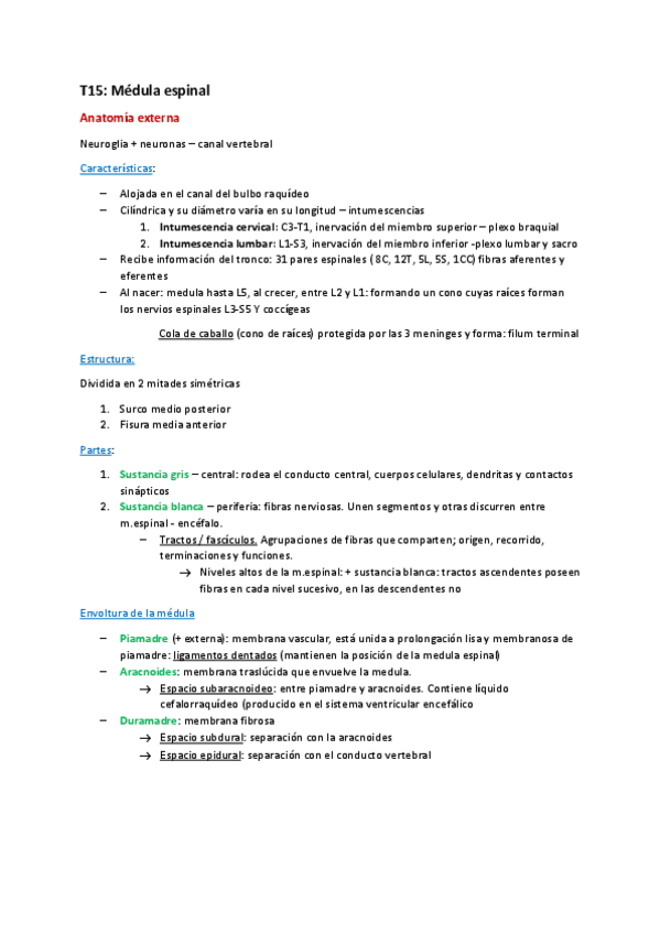 Miniatura del documento Medula-espinal.pdf