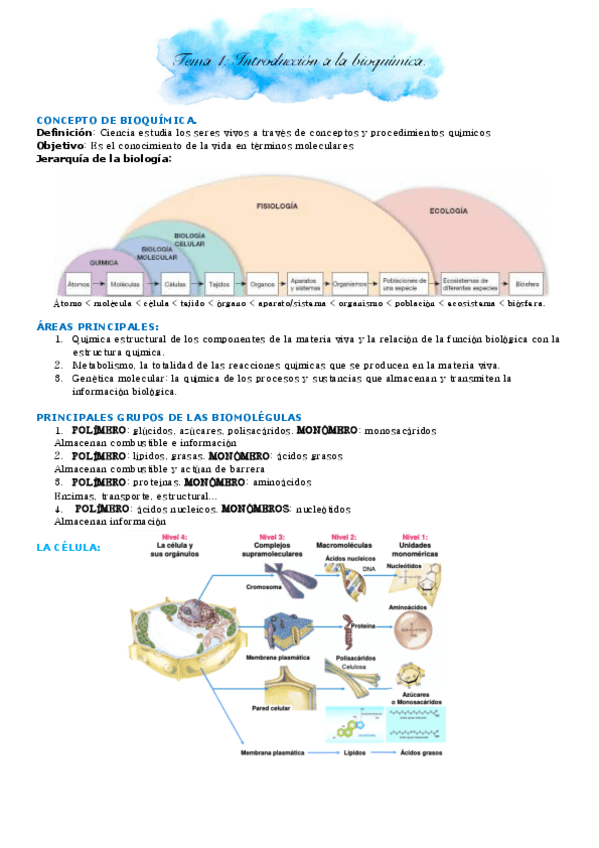 Miniatura del documento Bioquimica-1o.pdf
