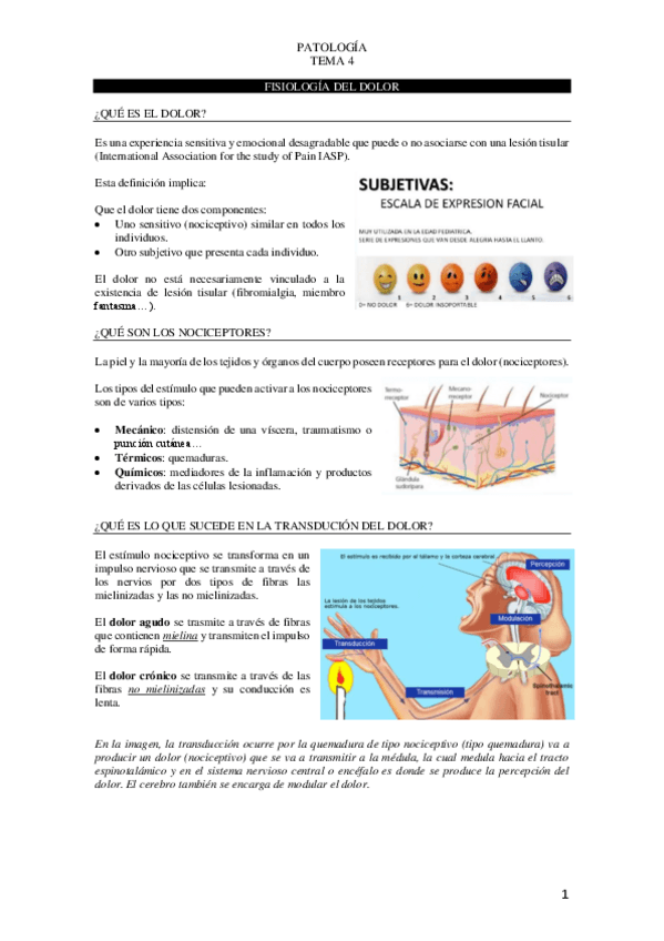 Miniatura del documento Tema-4-patologia.pdf