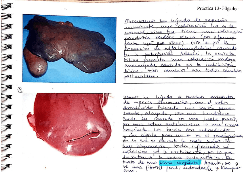 Miniatura del documento Cuadernillo-2-2019-20.pdf
