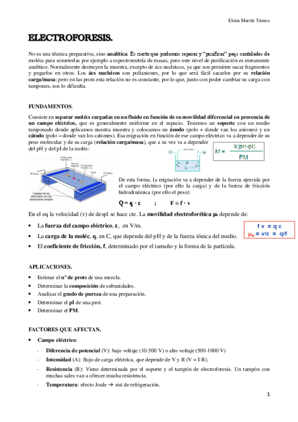 Miniatura del documento TEMA 6 - ELECTROFORESIS.pdf