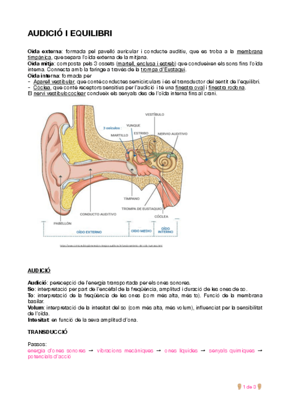 Miniatura del documento Resum-audicio-i-equilibri.pdf