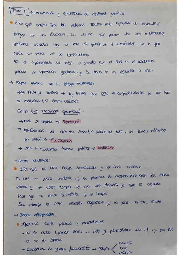 Miniatura del documento Apuntes-temas-1-6.pdf