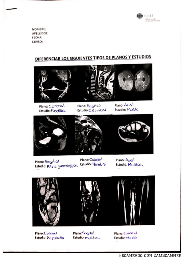 Miniatura del documento DIFERENCIAR-PLANOS-Y-ESTUDIOS.pdf