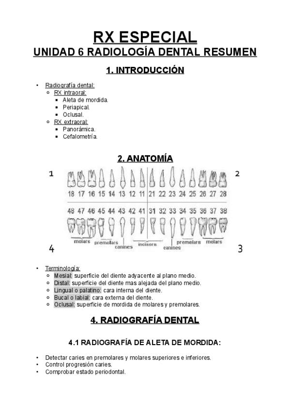 Miniatura del documento UNIDAD-6-RESUMEN.pdf