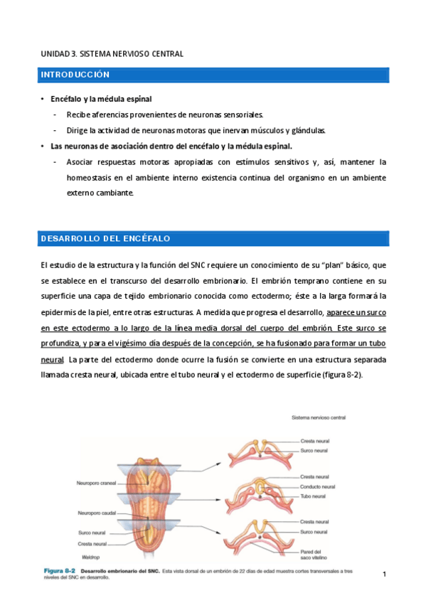 Miniatura del documento UNIDAD-3.pdf