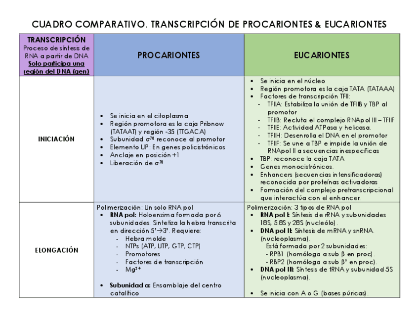 Miniatura del documento TABLA-COMPARATIVA-TRANSCRIPCION-PROC-Y-EUC.pdf