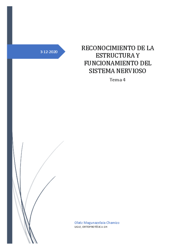 Miniatura del documento Reconocimiento-de-la-estructura-y-funcionamiento-del-sistema-nervioso.pdf