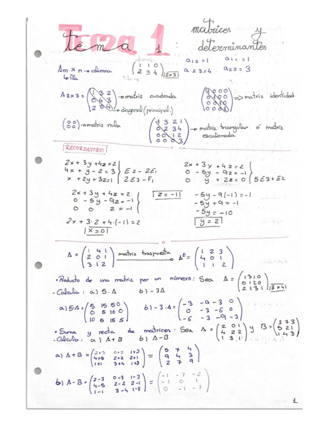 Miniatura del documento Matrices-y-determinantes.pdf