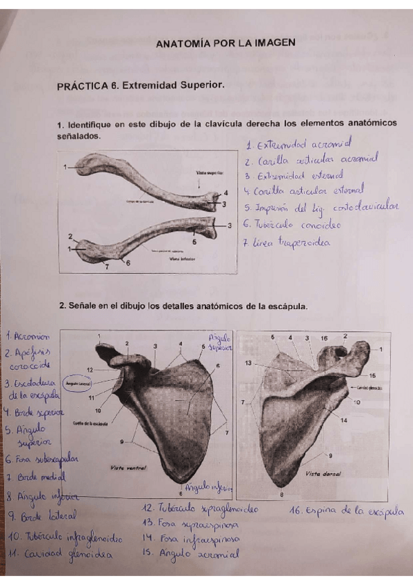 Miniatura del documento Act.pdf