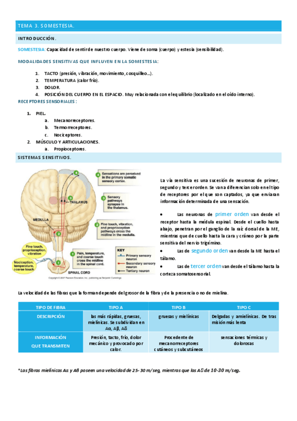 Miniatura del documento TEMA-3.pdf