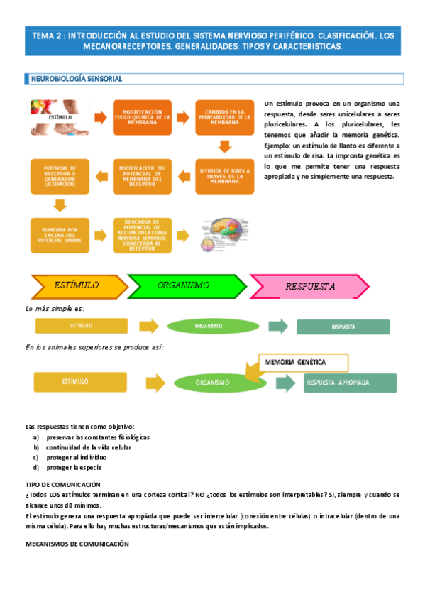 Miniatura del documento TEMA-2.pdf