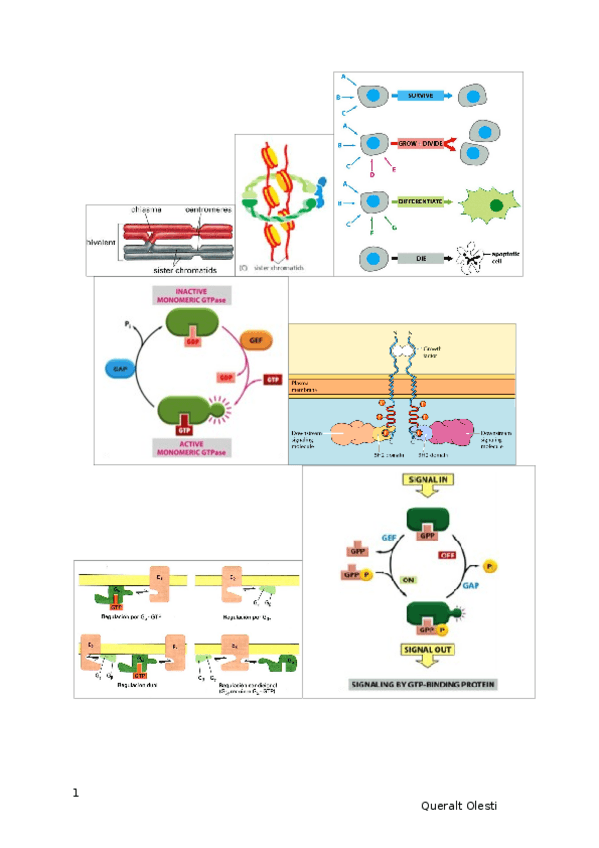 Miniatura del documento apunts-2n-parcial.docx