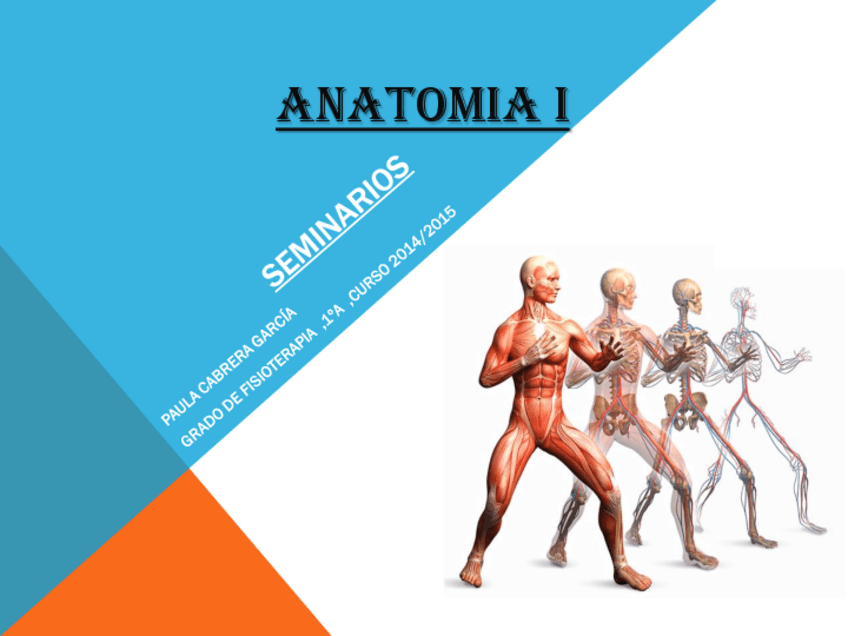 Miniatura del documento SEMINARIOS PAULA.pdf