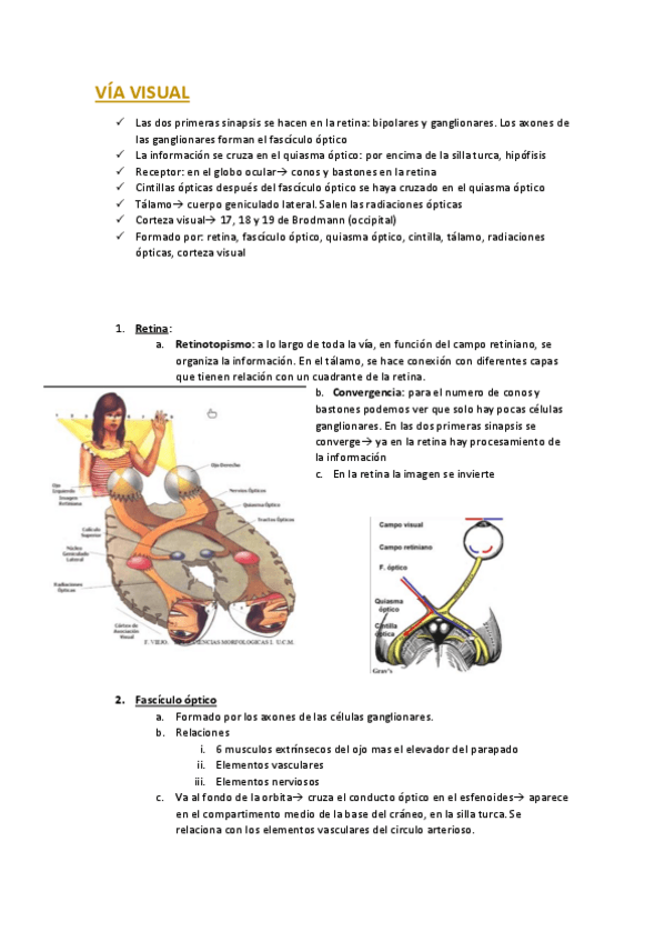 Miniatura del documento via-visual.pdf