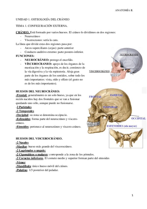 Miniatura del documento UNIDAD I. TEMA 1. (2).pdf