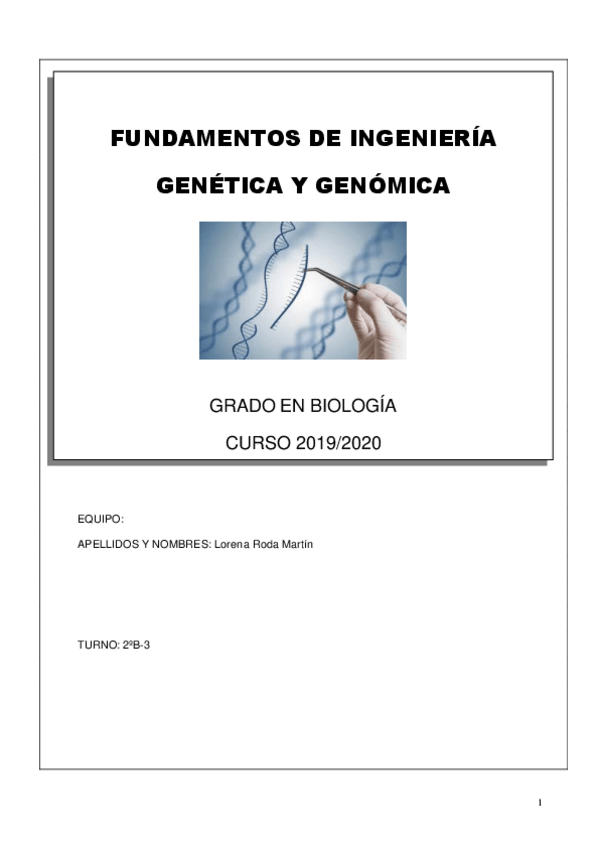 Miniatura del documento RodaMartinPracticasFIGG-bloque-I.pdf